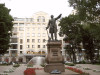 wikimedia_search