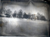 wikimedia_search