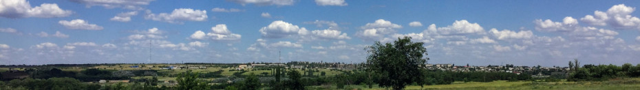 wikimedia_search