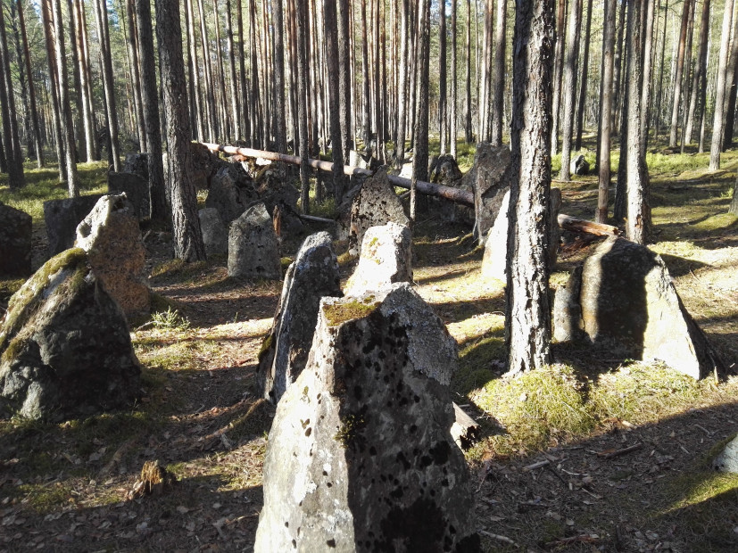 wikimedia_search