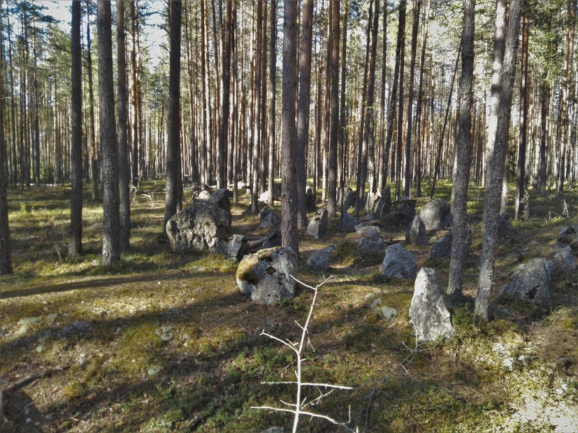 wikimedia_search