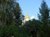 wikimedia_search