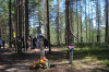 wikimedia_search