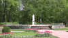 wikimedia_search