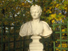 wikimedia_search