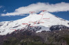 wikimedia_search
