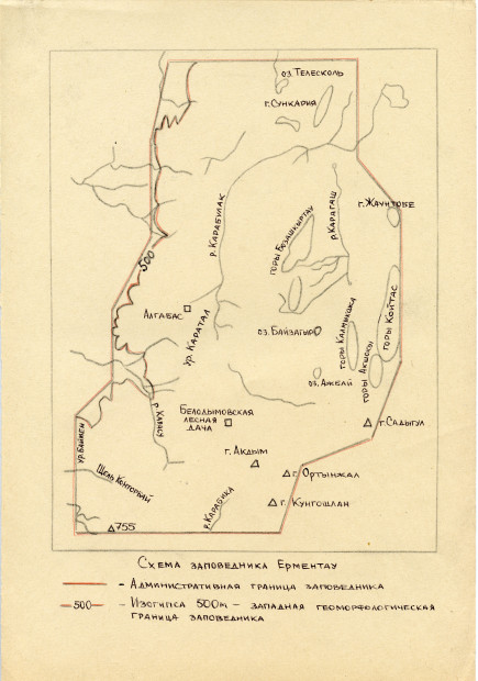 wikimedia_search