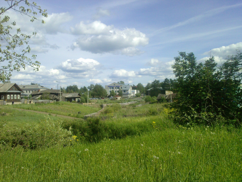 wikimedia_search