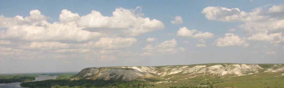 wikimedia_search