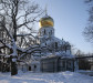 wikimedia_search