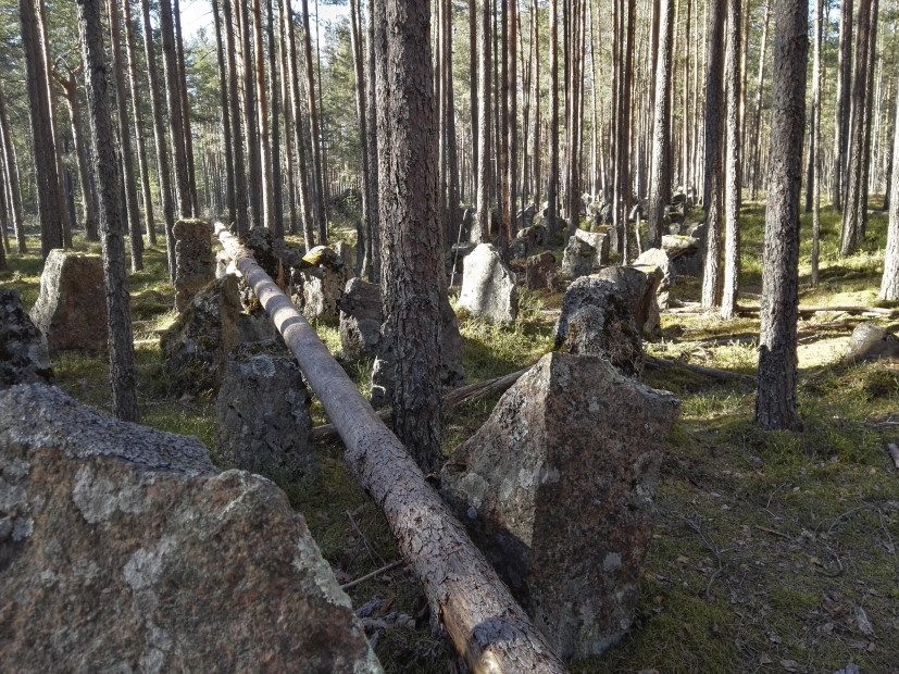 wikimedia_search