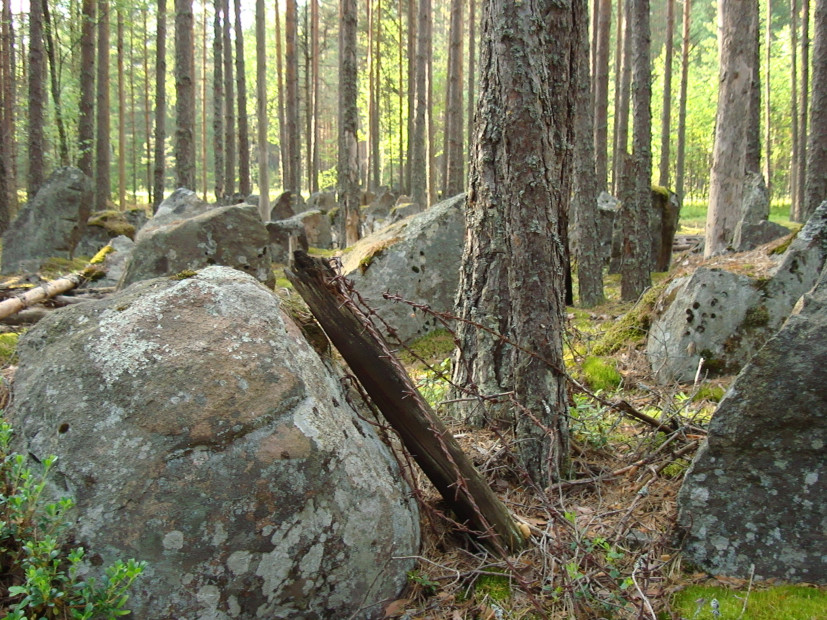 wikimedia_search