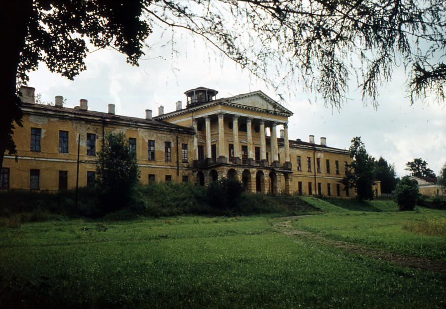 wikimedia_search