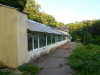 wikimedia_search