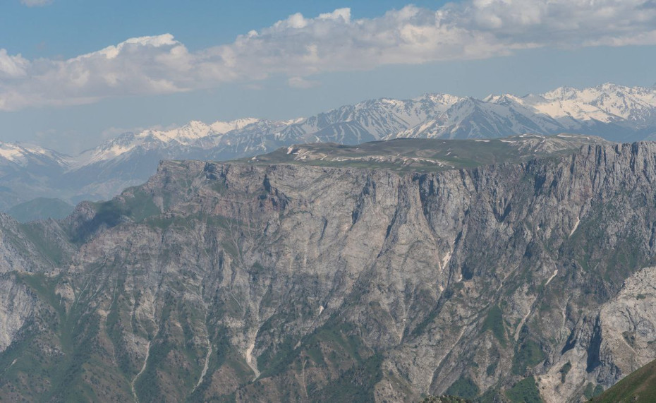 wikimedia_search