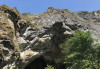 wikimedia_search