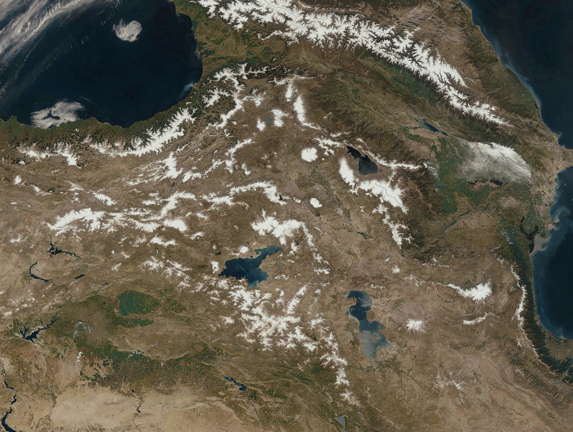 wikimedia_search