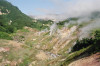wikimedia_search
