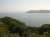 wikimedia_search