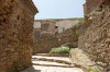 wikimedia_search
