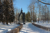 wikimedia_search