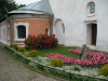 wikimedia_search