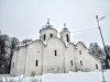 wikimedia_search