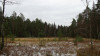 wikimedia_search
