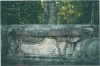 wikimedia_search