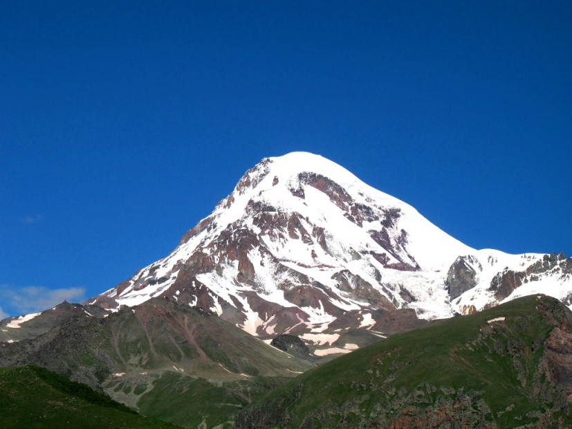 wikimedia_search