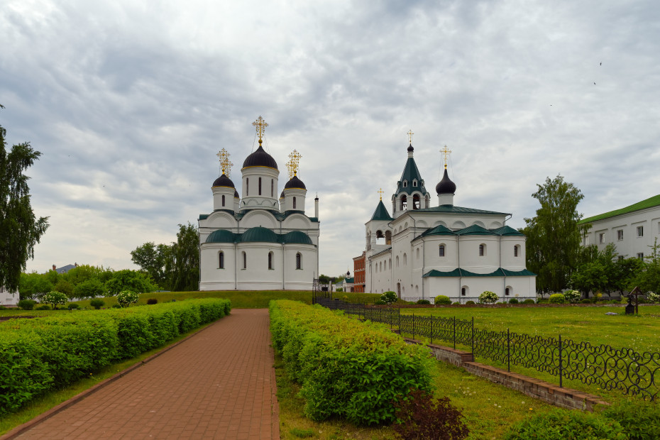 wikimedia_search
