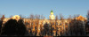 wikimedia_search