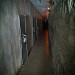 wikimedia_search