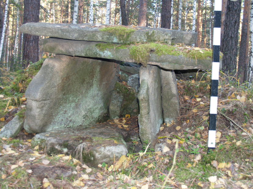 wikimedia_search