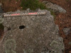 wikimedia_search
