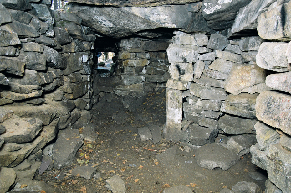 wikimedia_search