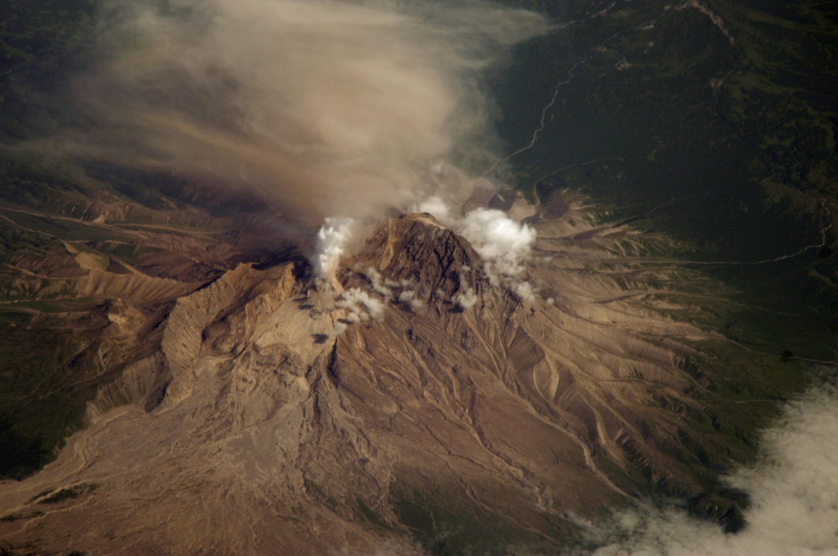 wikimedia_search