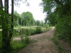 wikimedia_search