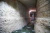 wikimedia_search