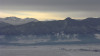 wikimedia_search