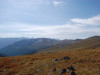 wikimedia_search