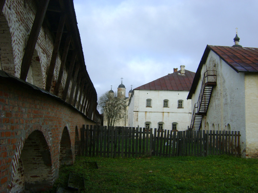 wikimedia_search