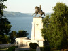 wikimedia_search