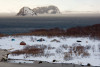 wikimedia_search