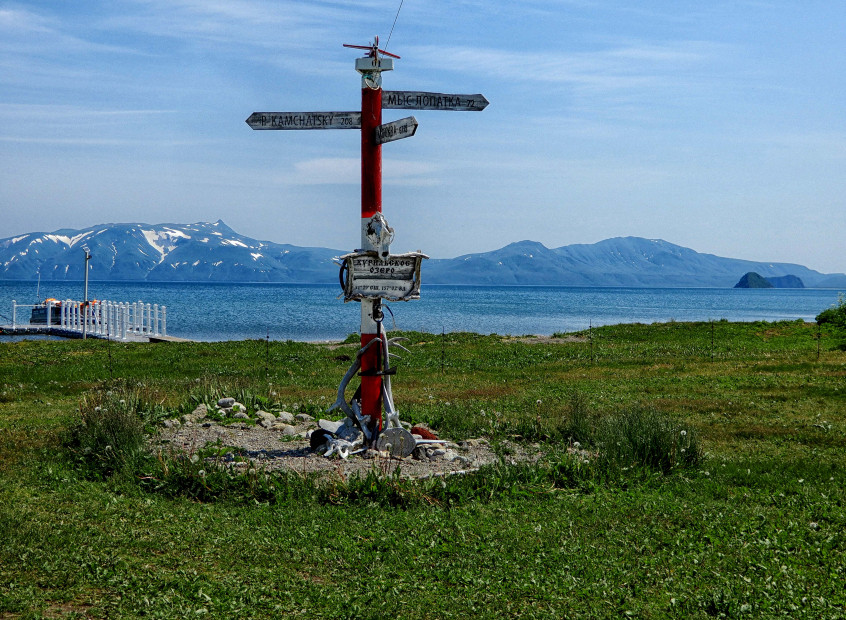 wikimedia_search