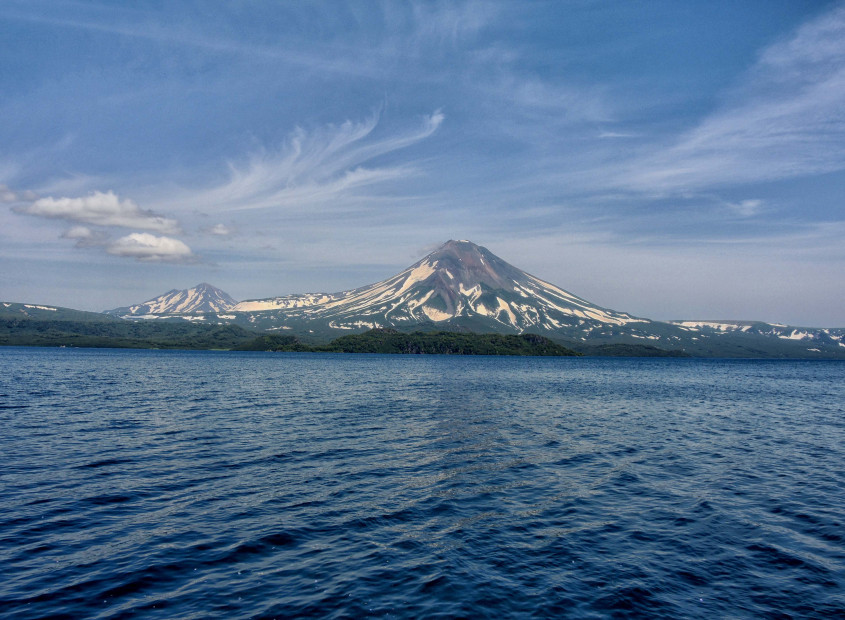 wikimedia_search