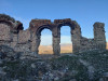wikimedia_search
