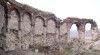 wikimedia_search