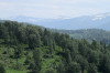 wikimedia_search