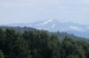 wikimedia_search